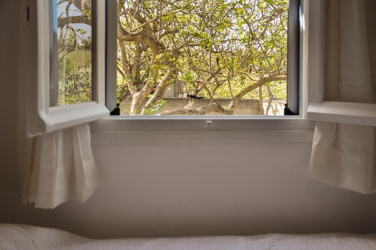 Elena'S Guest House Aegina Luaran gambar